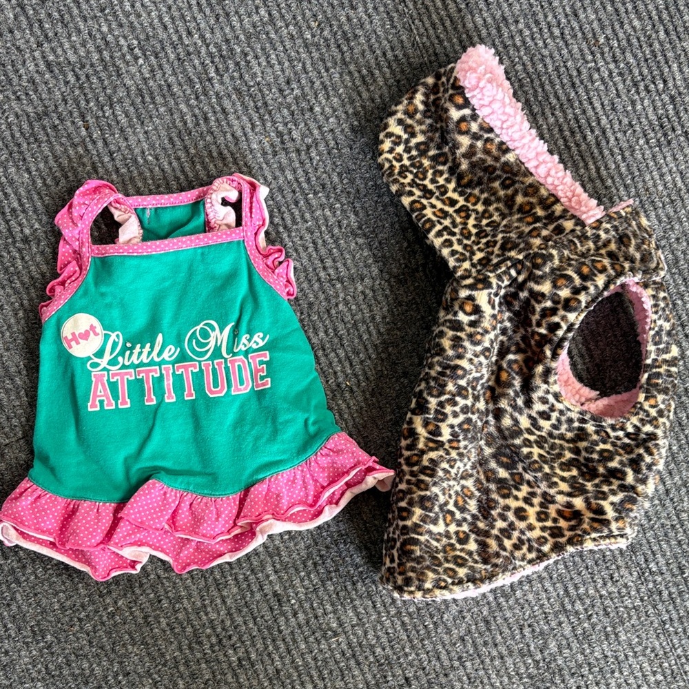 Little Miss Attitude Dog Outfit Set